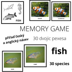 FISH - memory game (30 species)