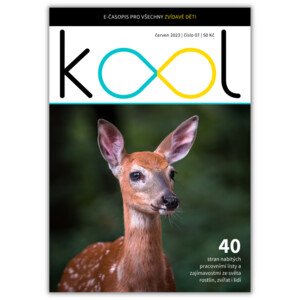 e-časopis KOOL (06/2023)