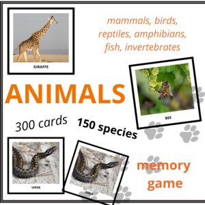 ANIMALS - memory game (150 species, 300 cards)