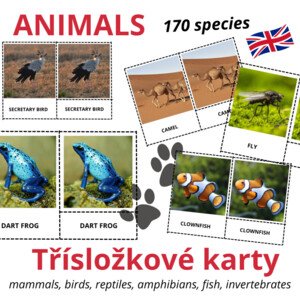 ANGLICKÉ Třísložkové karty - ANIMALS (170 species)