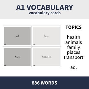 A1 VOCABULARY - VARIOUS TOPICS (velká sada slovní zásoby na různá témata)