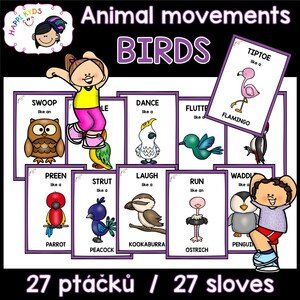 Animal movements - BIRDS - kartičky