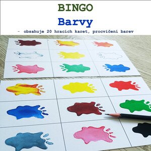 Bingo - Barvy