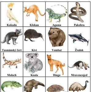 Bingo - Australská zvířata