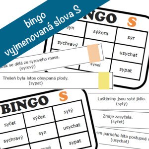 bingo - vyjmenovaná slova po S