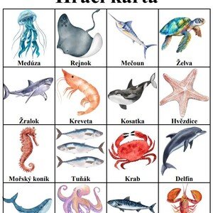 Bingo - Mořská zvířátka
