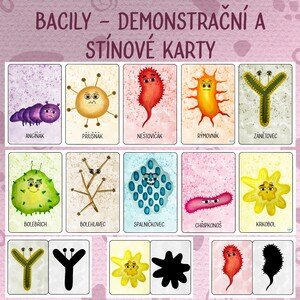 Bacily - Demonstrační a stínové karty