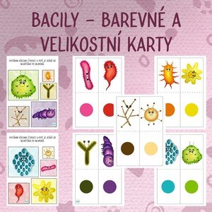 Bacily - Barevné a velikostní karty