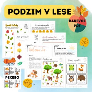Podzim v lese _ barevné PDF