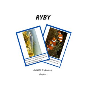 RYBY - informační karty 