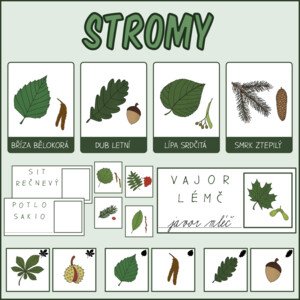 Stromy - Listy a plody