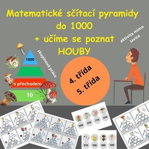 Matematické sčítací pyramidy do 1000 + učíme se poznat HOUBY