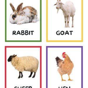 Flashcards- animals on the farm