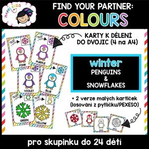 Find your partner - WINTER COLOURS - kartičky pro utvoření dvojic a pexeso