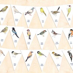 Ptáci z krmítka - girlanda