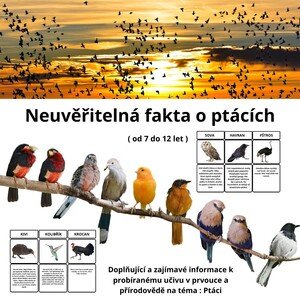 Neuvěřitelná fakta o ptácích