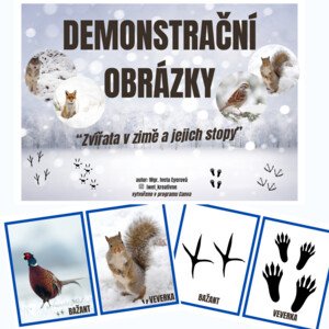 Zvířata v zimě a jejich stopy - demonstrační obrázky