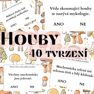 Houby - 40 tvrzení (ANO/NE)
