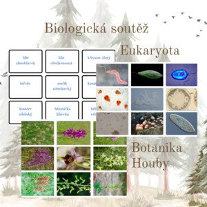 Biologická soutěž - houby, botanika