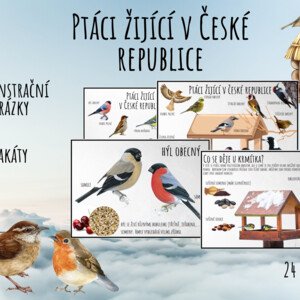 Ptáci v zimě, Ptáci žijící v České republice, Draví ptáci, Dravci, Zvířátka v zimě