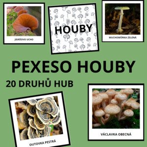 HOUBY - pexeso (20 druhů)