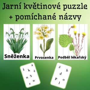 Jarní květiny - puzzle + pomíchané názvy květin