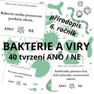 Viry a bakterie - tvrzení ANO / NE (40 karet)
