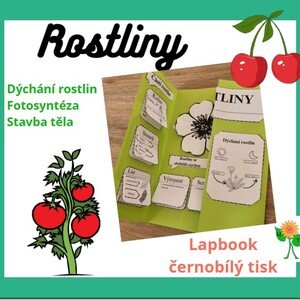 Rostliny - lapbook