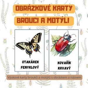 Obrázkové karty - Brouci a motýli 