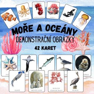 MOŘE A OCEÁNY - podmořský svět, život u moře, živočichové, zvířata, rostliny - demonstrační obrázky